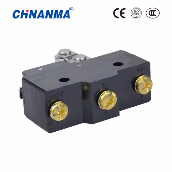 Undirectional Hinge Roller Lever Type Micro Switch