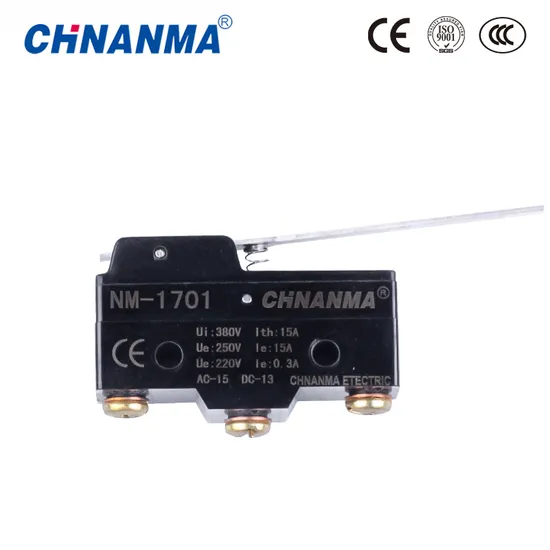 Undirectional Hinge Roller Lever Type Micro Switch