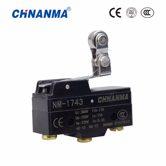 Undirectional Hinge Roller Lever Type Micro Switch